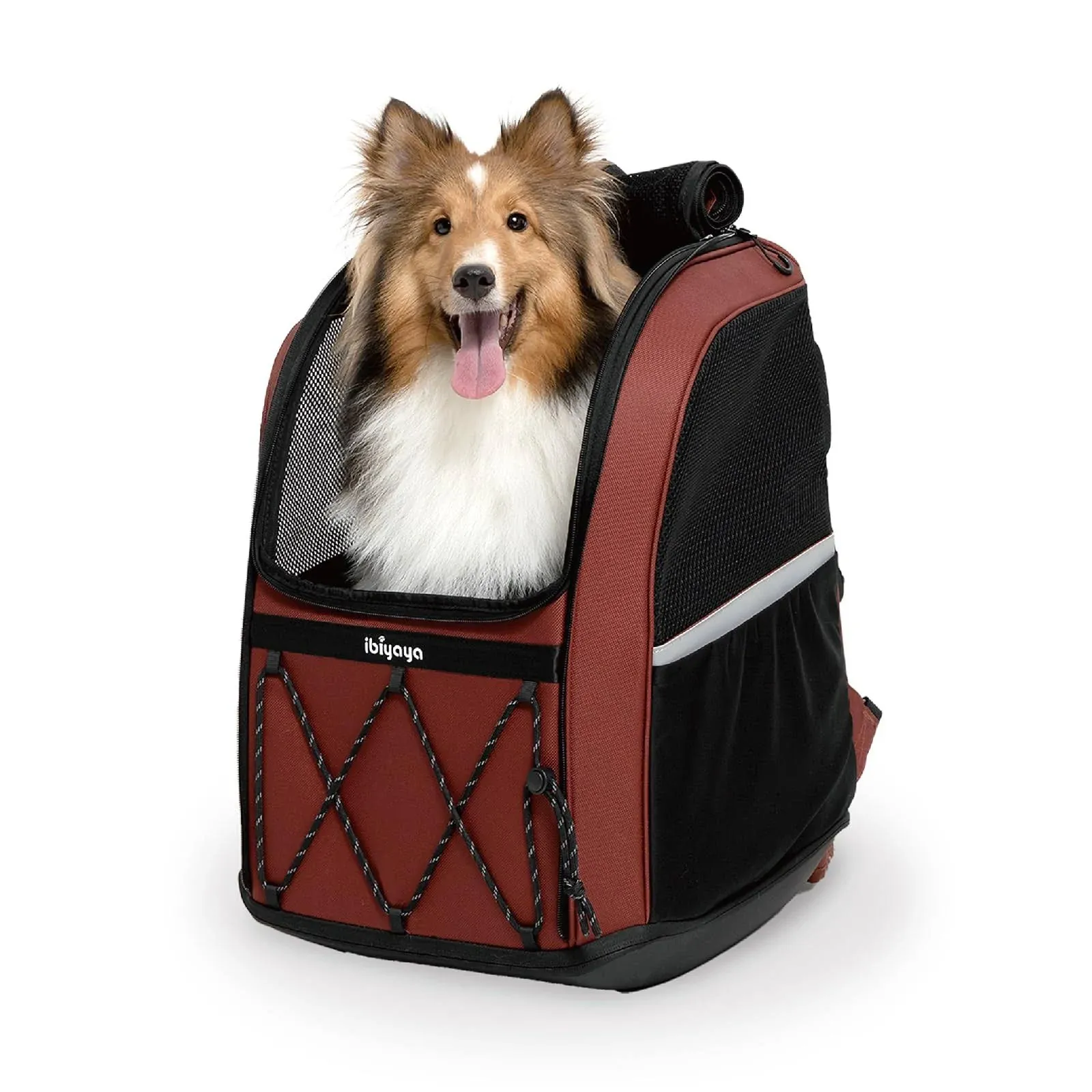 Ibiyaya FC2345-DR Champion Large Dog Carrier Backpack with Window 3-in-1 Travel Backpack - Maroon