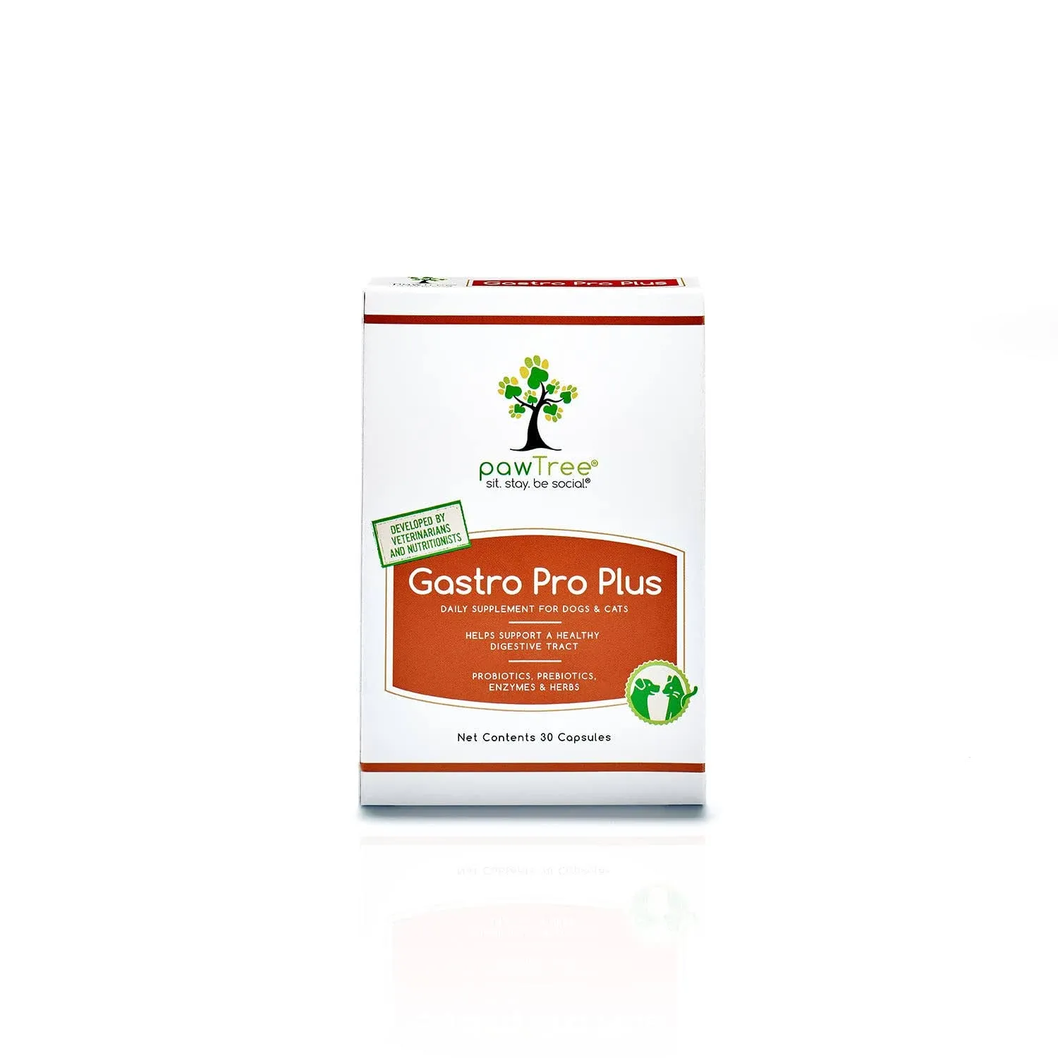 pawTree Gastro Pro Plus Probiotics Digestive Enzymes Dogs & Cats