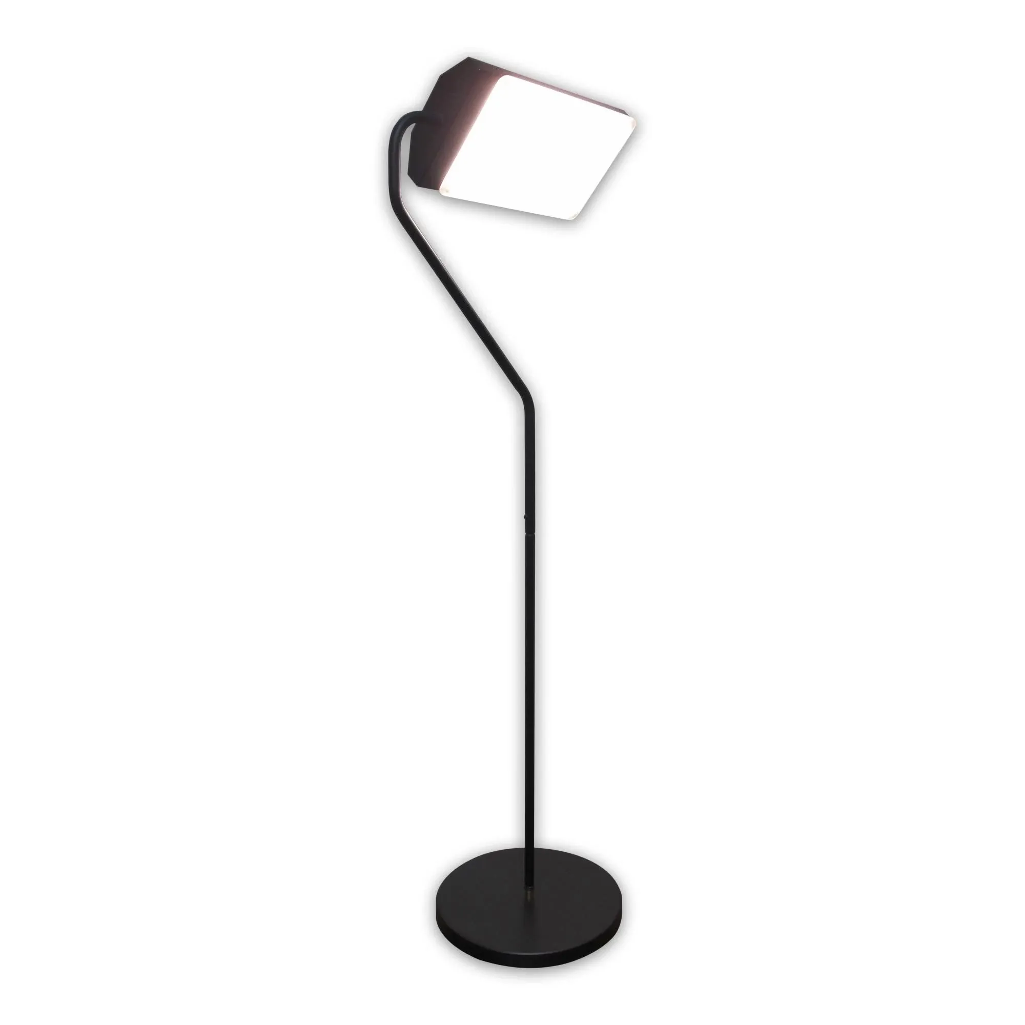 Northern Light Flamingo Therapeutic Floor Lamp