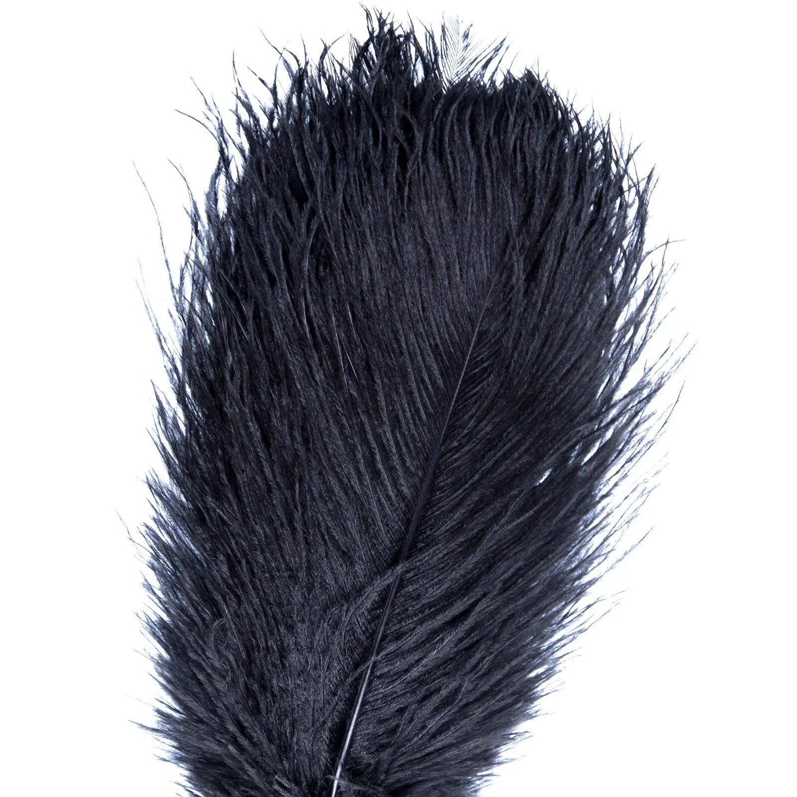 AWAYTR 12-14 inch (30-35cm) Natural Ostrich Feathers for Wedding Centerpieces Home Decoration,Flower Arrangement,DIY Christmas Decorations (10pcs,Black)