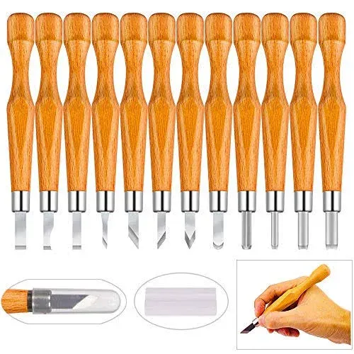 PRUGNA Hardwood Carving Tools Kit, AISI-07 Carbon Steel Graver Set for Beginners &amp; Professionals, 12 Pcs Engraving Knife with Storage Case