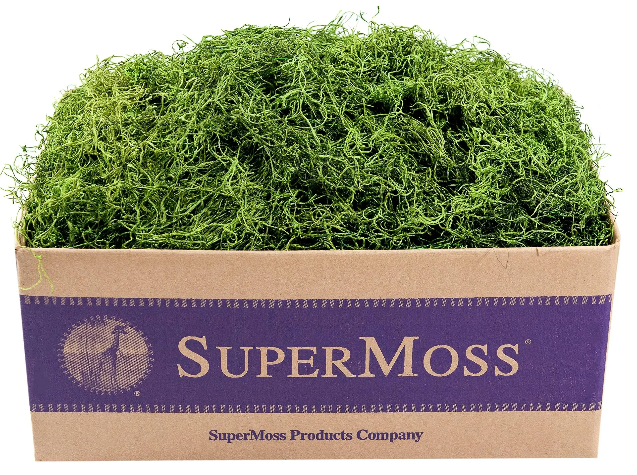 SuperMoss (26927) Spanish Moss Preserved, Grass, 3lbs