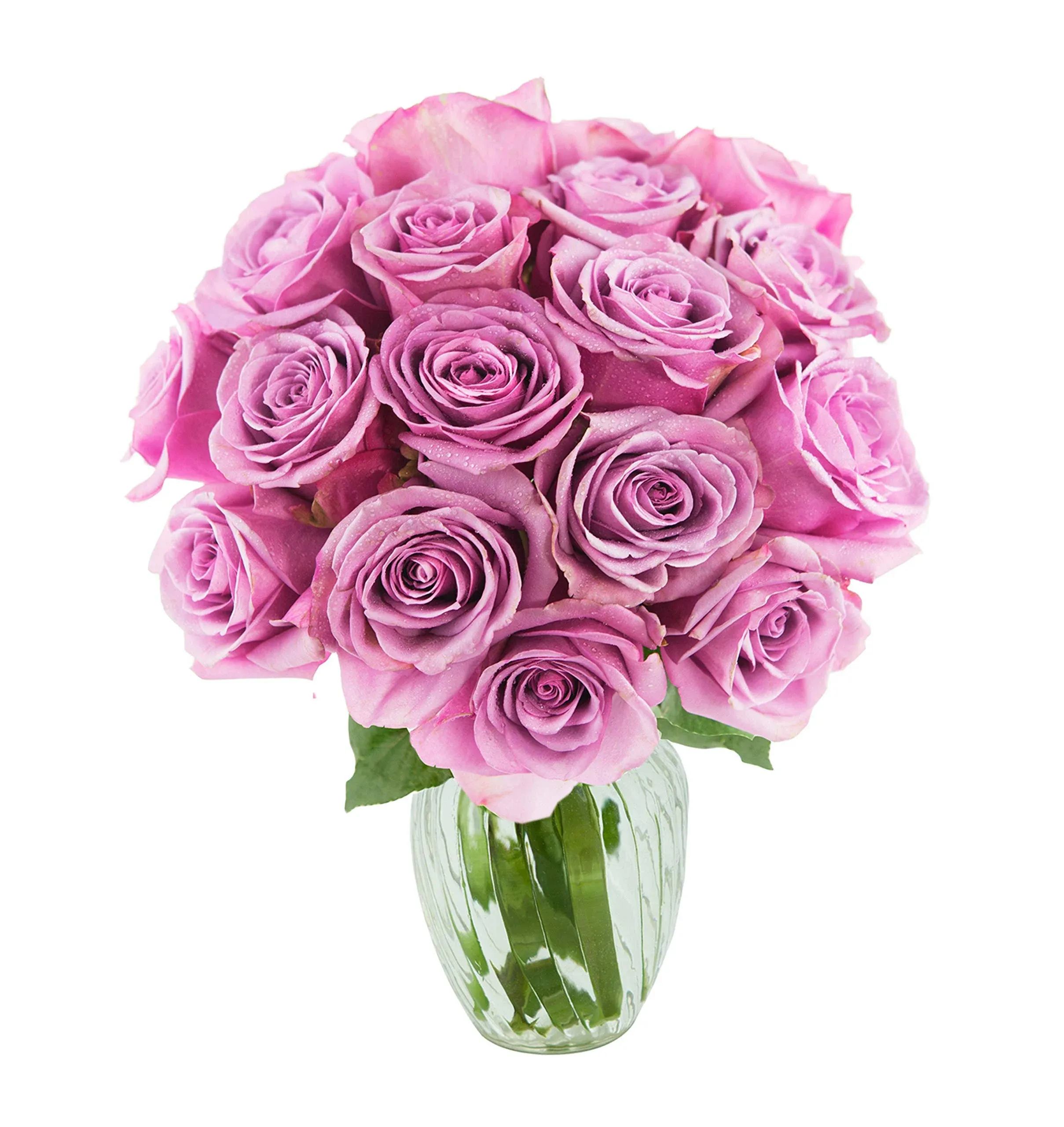 Kabloom Bouquet of 18 Fresh Cut Purple Roses with Vase