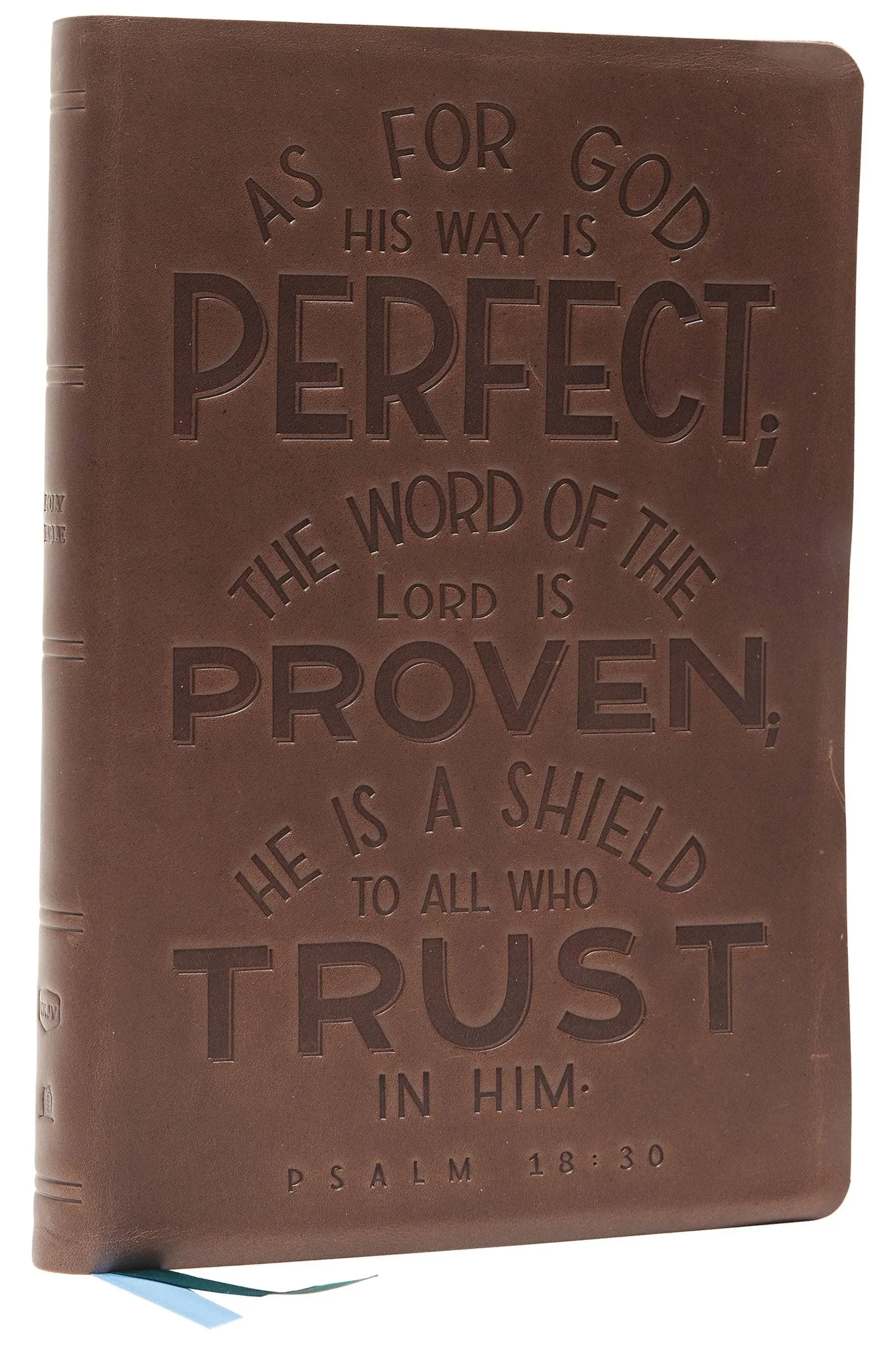 NKJV Thinline Bible, Verse Art Cover Collection, Red Letter, Comfort Print [Teal] [Book]