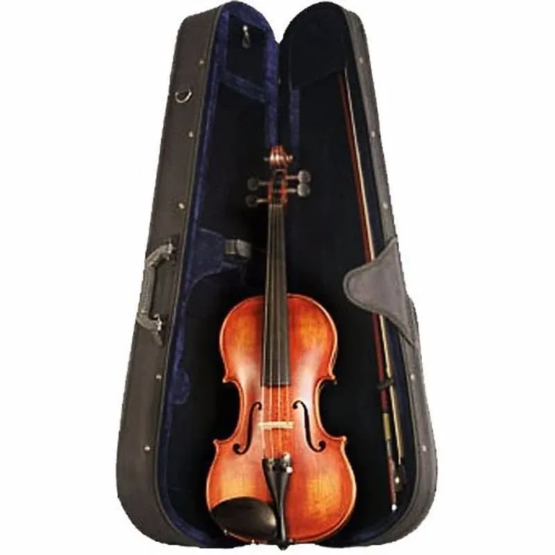 Palatino 4/4 Full Size ANZIANO Violin Outfit VN-950