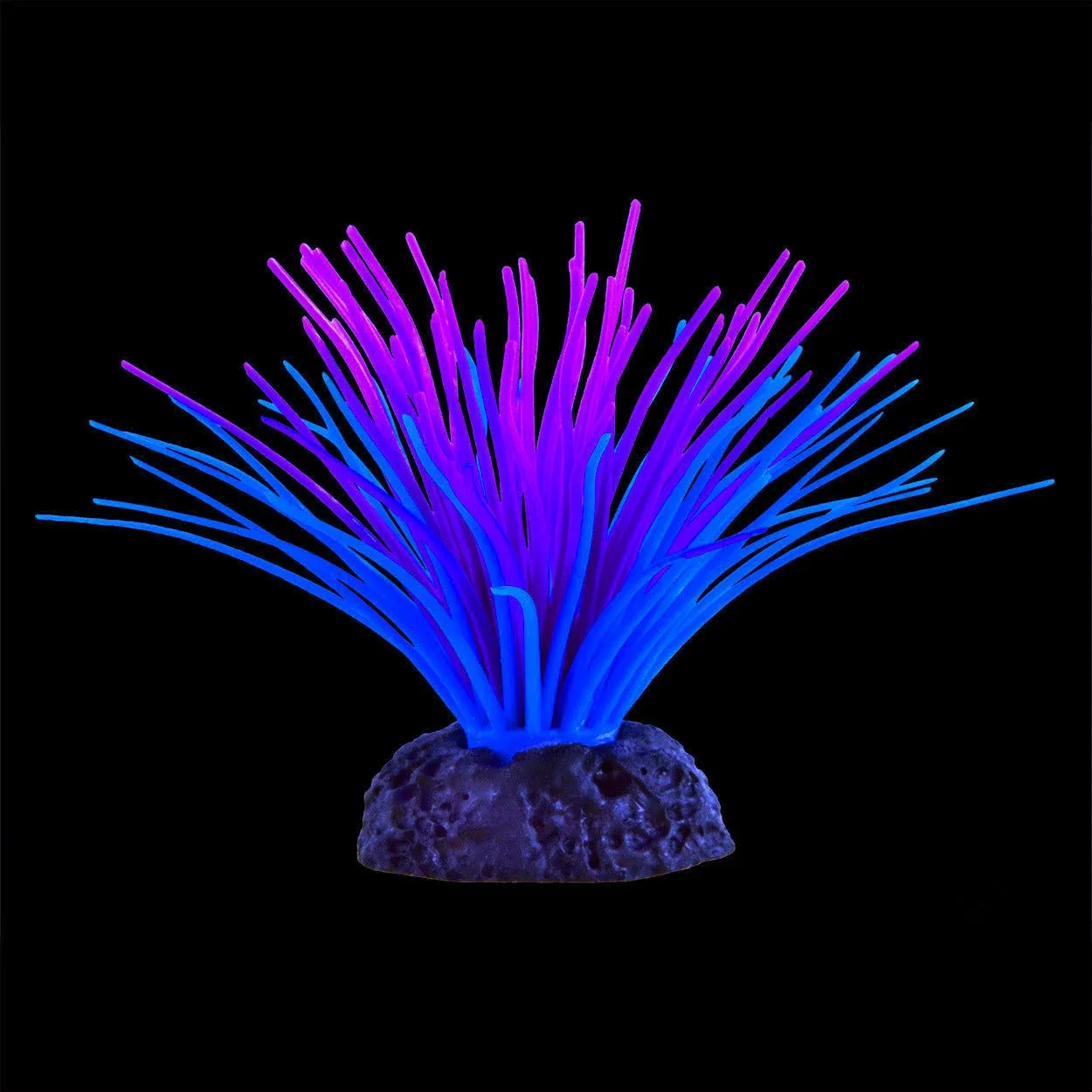 Underwater Treasures Sea Anemone - Purple/Blue