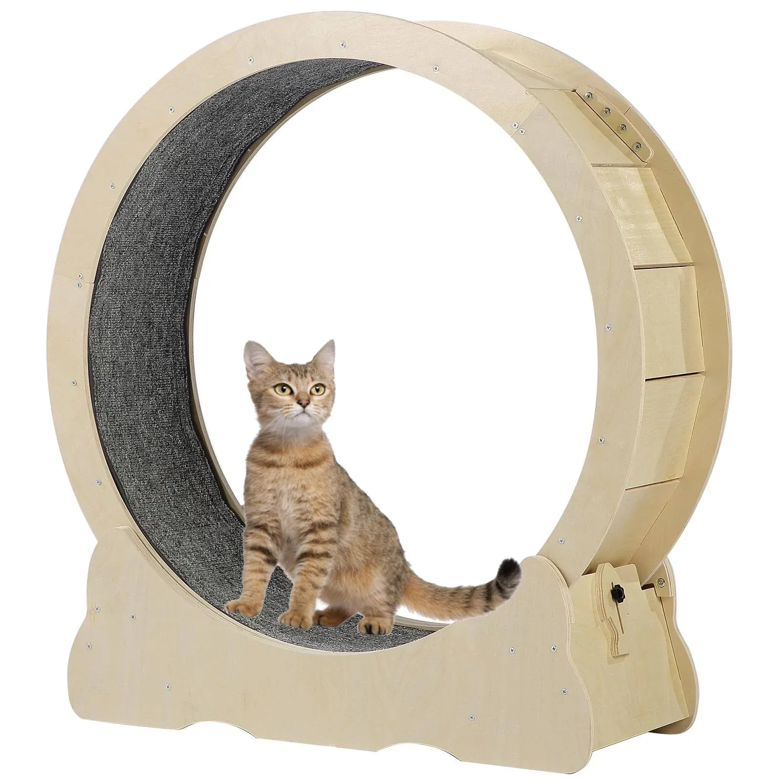 AURGOD Cat Exercise Wheel for Indoor Cats, 43.3&#034; Large Cat Running Wheel with...