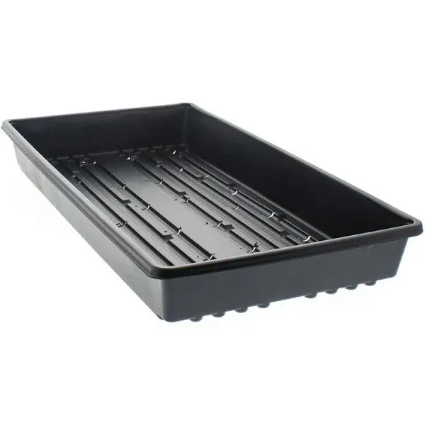 1020 Trays- Heavy Duty with Holes, 10 Pack, for Propagation Seed Starter, Plant Germination, Seedlings, Microgreens (10)