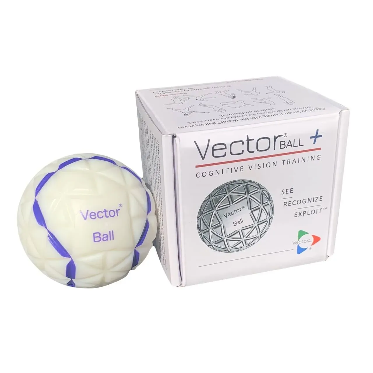 Eye on Ball Vector Ball + Cognitive Vision/Neuro-Visual Training Tool Improve ...