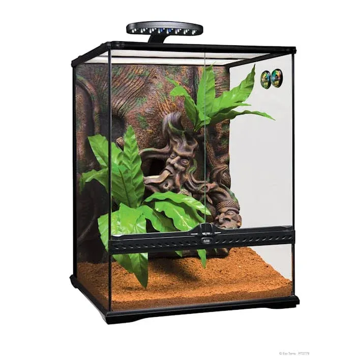 Exo Terra Crested Gecko Kit