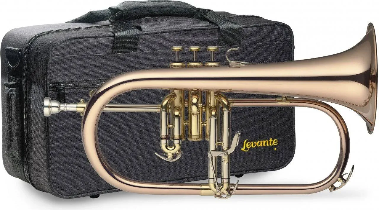 Stagg Bb Flugelhorn Goldbrass Instrument with Soft Case - LV-FH6205