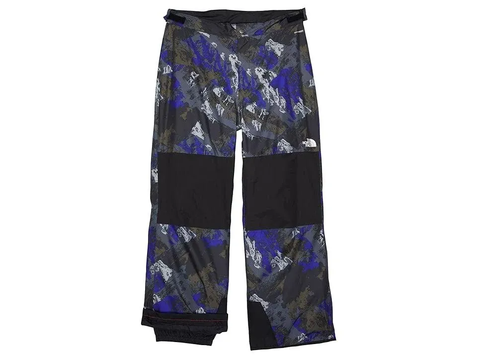 The North Face Boys Freedom insulated snow pants