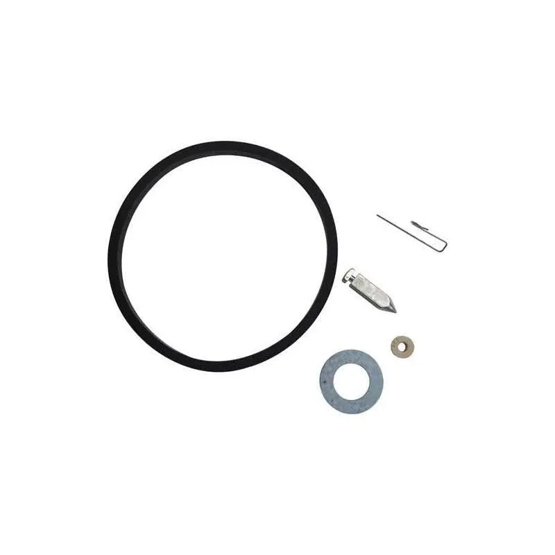 Needle and Seat Kit For Tecumseh Part # 631021, 631021B, Made To Be Compatible With Up To 25% Ethanol In Fuel.