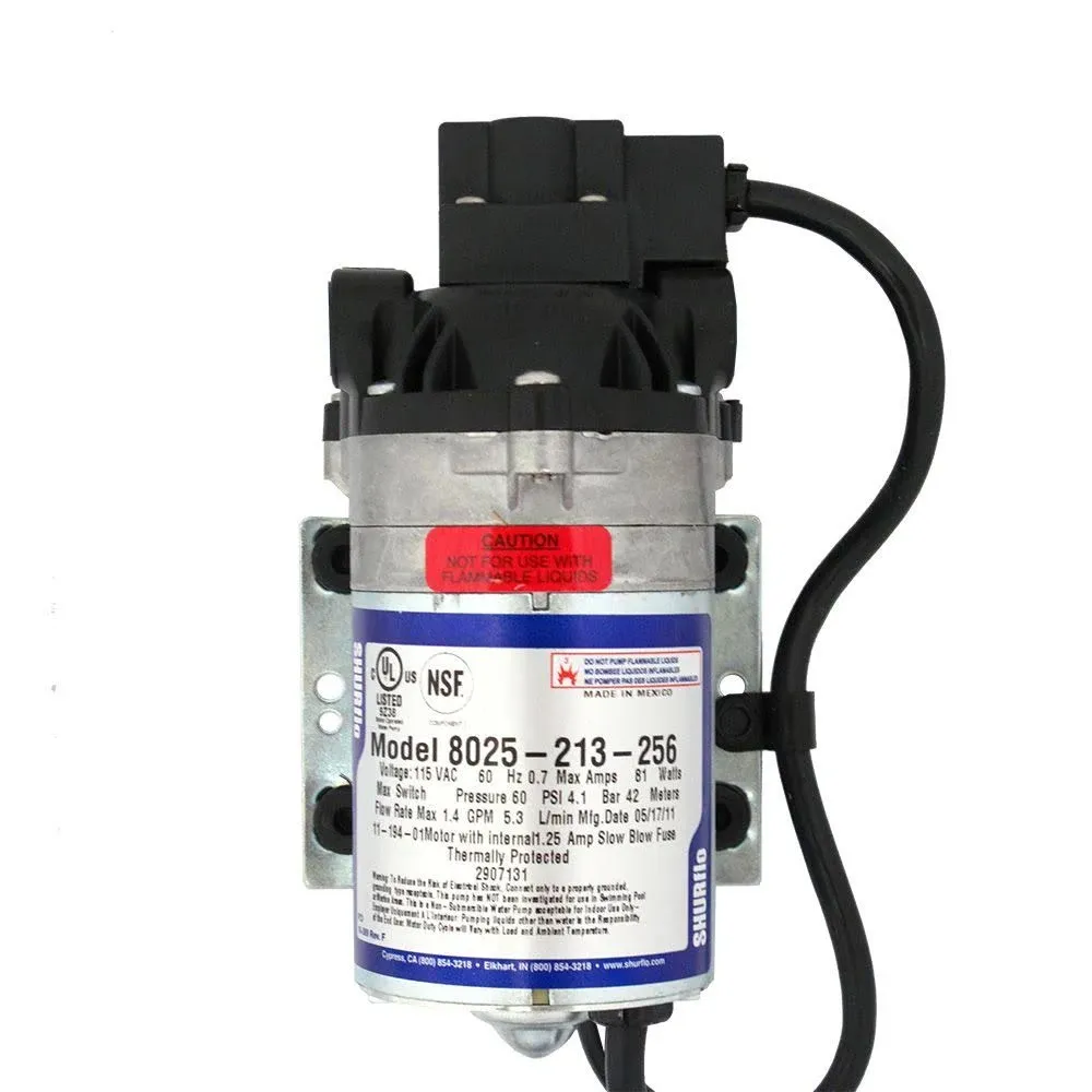 Shurflo-8025-213-256 Delivery Pump