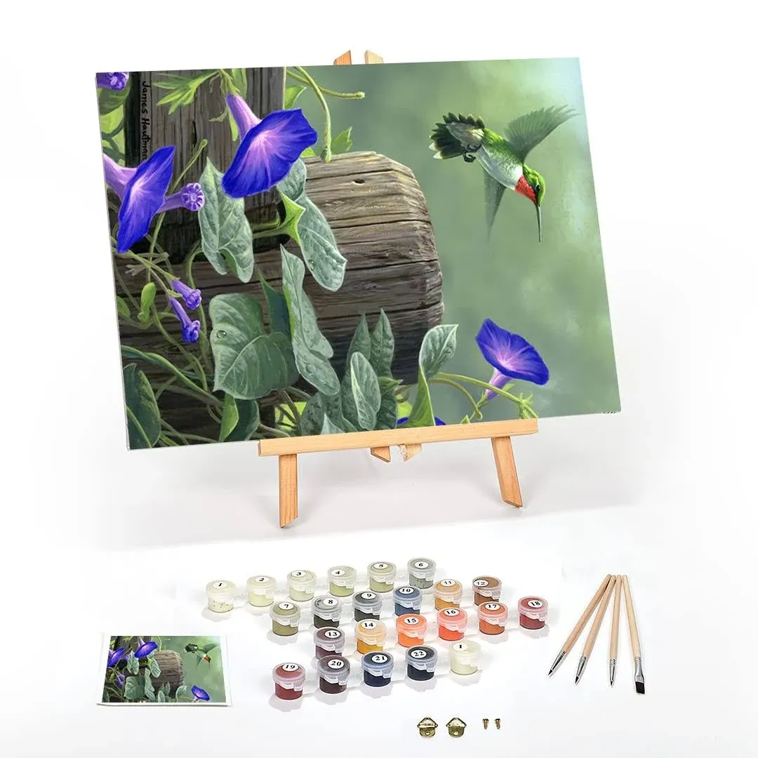 Ledgebay DIY Paint by Numbers Kit for Adults Framed Canvas Beginner to Advanced Paint by Numbers Kit, Kits Include Acrylic Paint Set, Brushes & Tabletop Easel (Hummingbird 16" x 20" Framed)