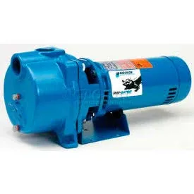 Goulds GT10 Self-Priming Centrifugal Pump