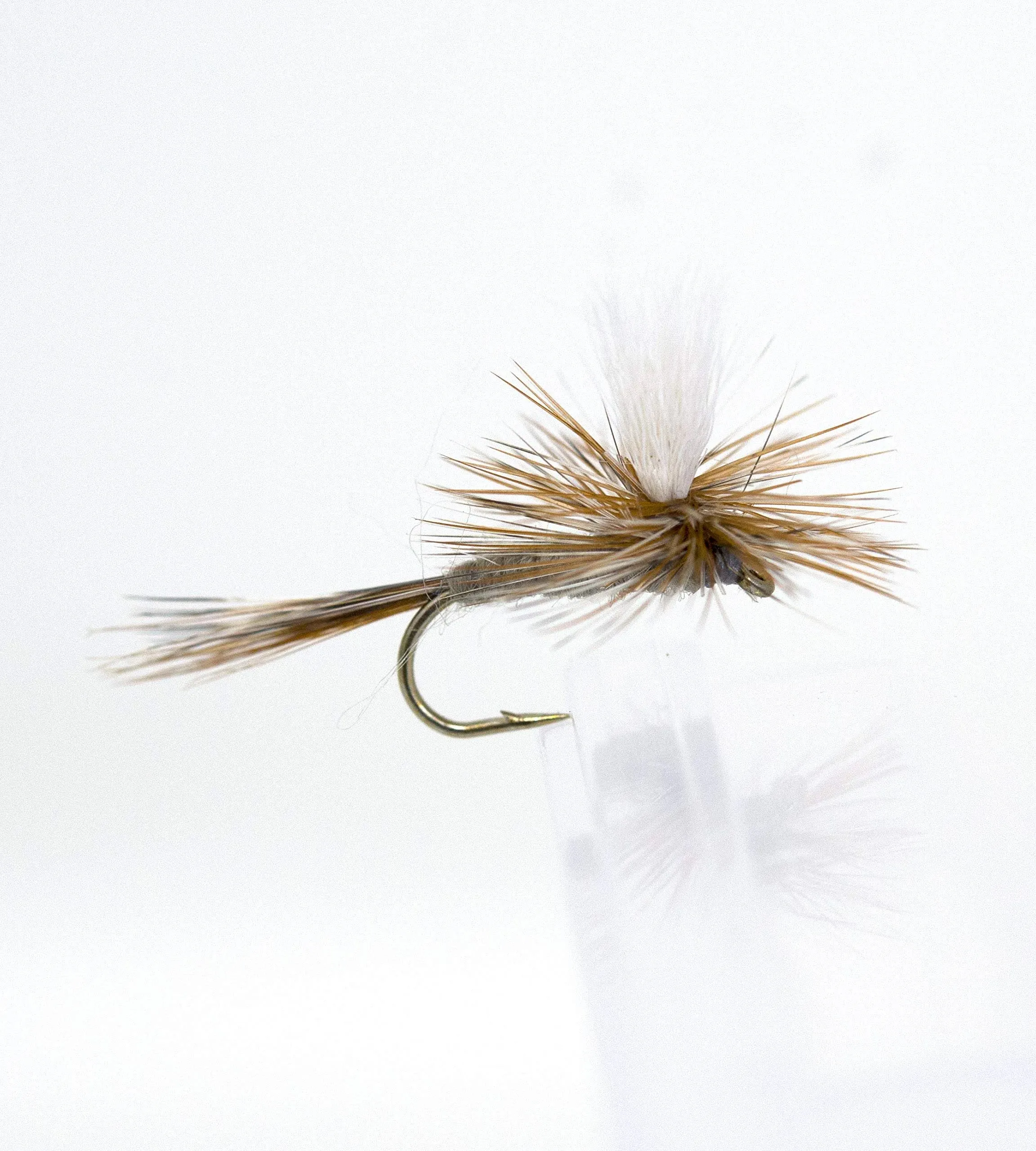 Producing Fly Fishing Flies Assortment | Dry, Wet, Nymphs, Streamers, Wooly ...