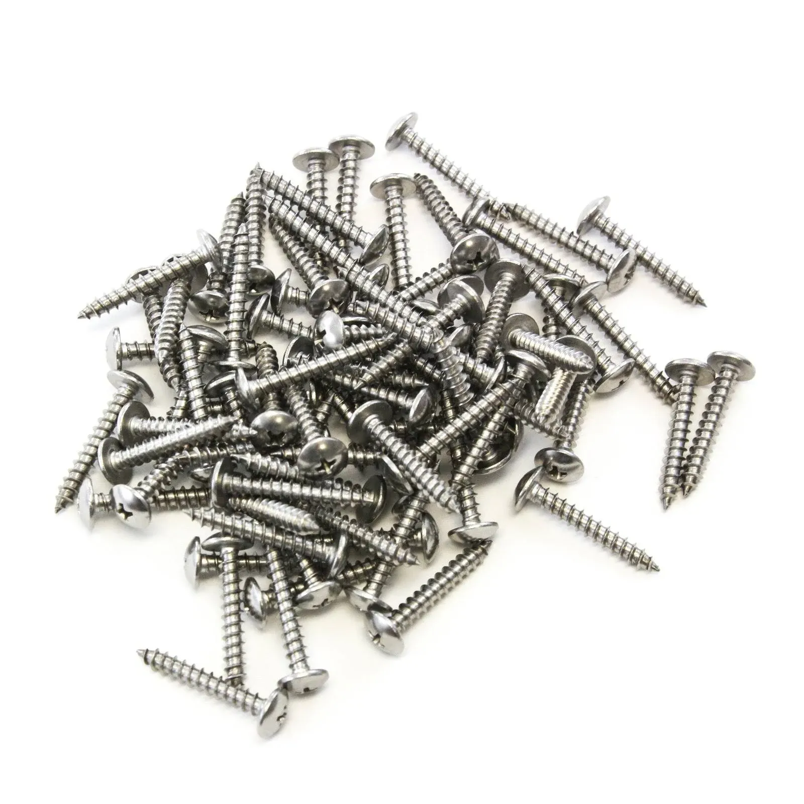 Red Hound Auto 80 Piece Truss Head Screw Set for Dock Bumper Installation Marine Grade Stainless Steel 10 x 1-1/4 Inches SS