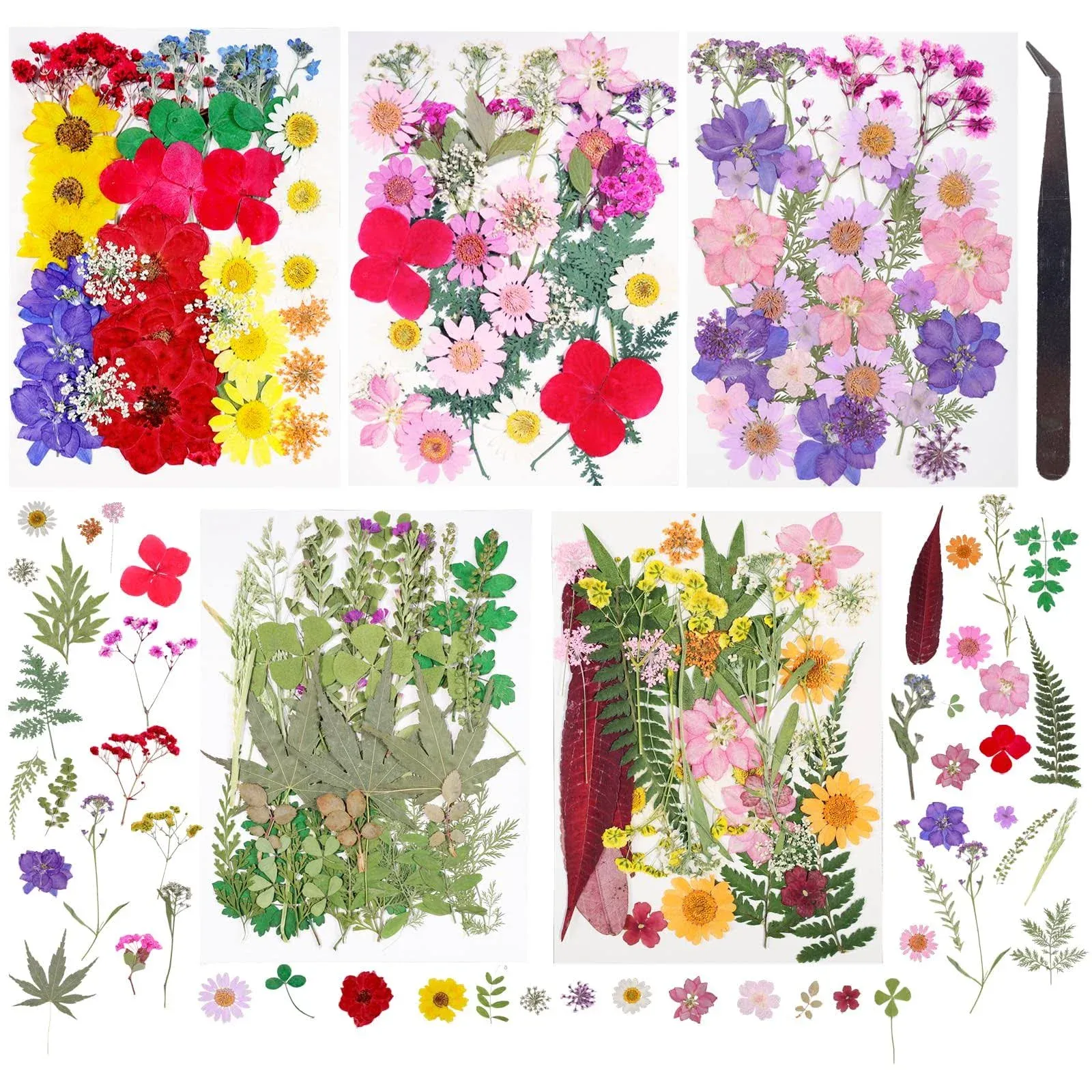 Dried Pressed Flowers 180 Pcs Mixed Dried Flowers for Resin Bulk Natural