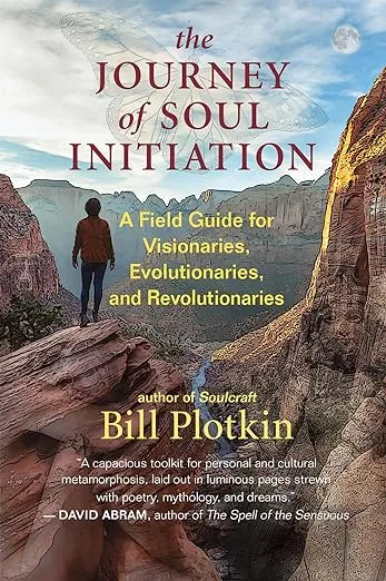 The Journey of Soul Initiation: A Field Guide for Visionaries, Evolutionaries, and Revolutionaries