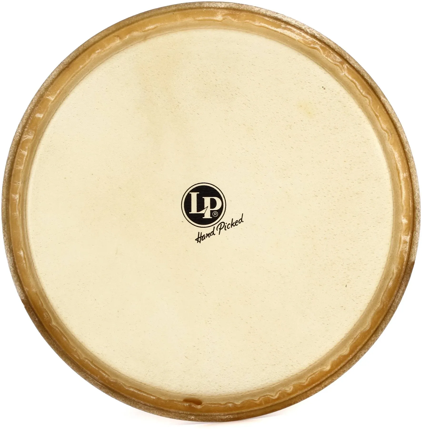 Latin Percussion LP265C 12.5” Replacement Tumba Head