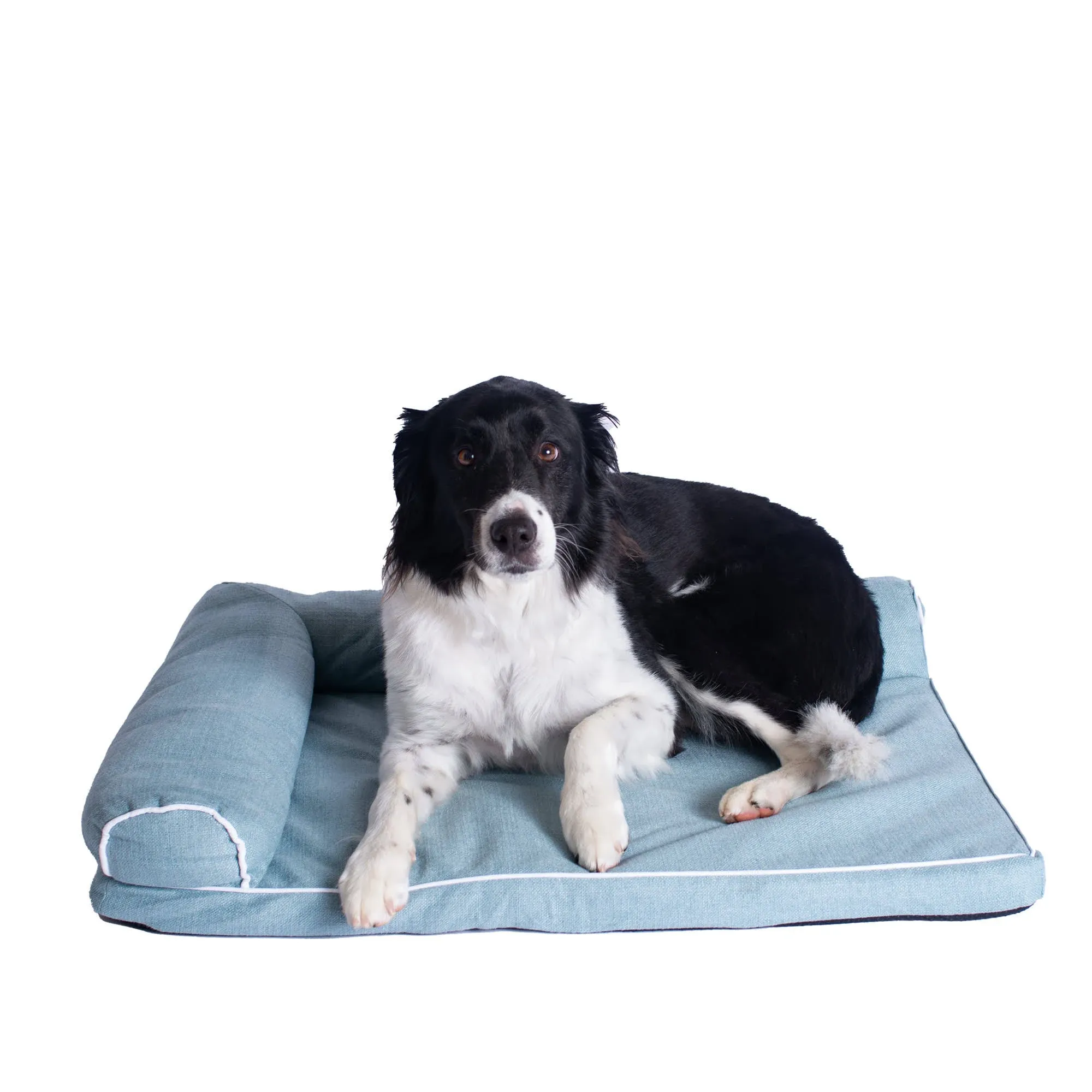 Armarkat Medium D08B Memory Foam Dog Bed