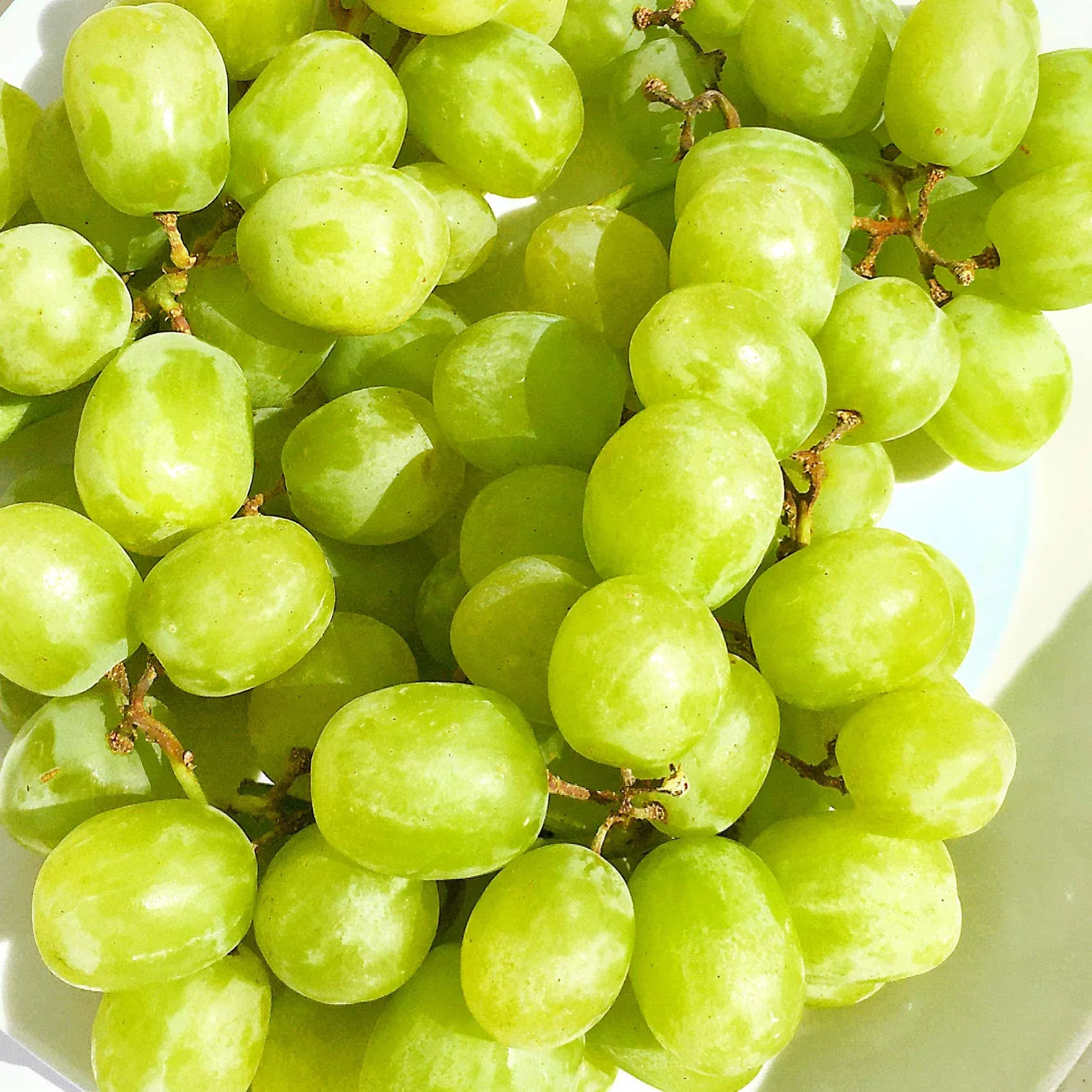 Kejora Fresh Seedless COTTON CANDY Grapes California Grown - 2 lbs