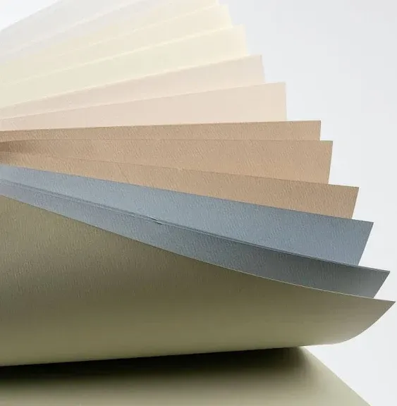 2-Pack - Strathmore 400 Series Pastel Pad, Assorted Colors, 9"x12" Glue Bound, 24 Sheets Each.