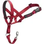 Company of Animals HALTI Headcollar - to Stop Your Dog Pulling on The Leash. Adjustable, Reflective and Lightweight, with Padded Nose Band. Dog Training Anti-Pull Collar for Large Dogs (Size 4, Red)