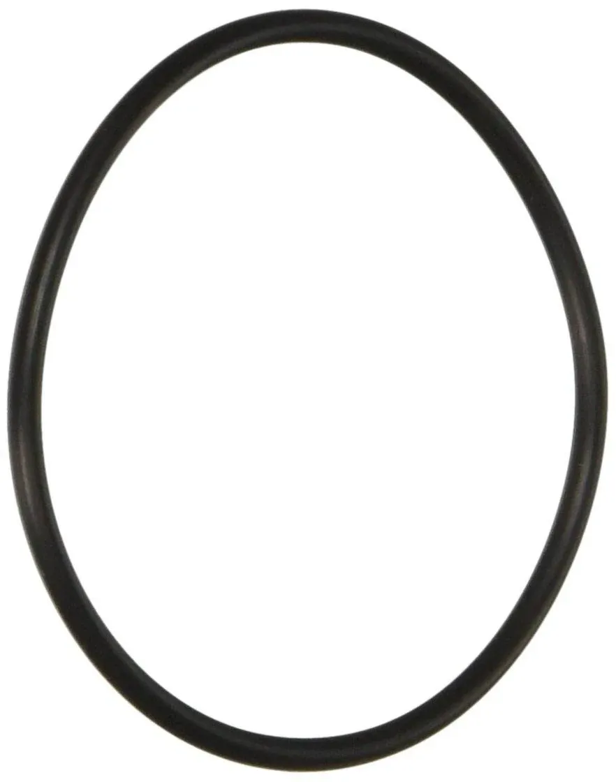 Pentair 59000600 O-Ring Bulkhead