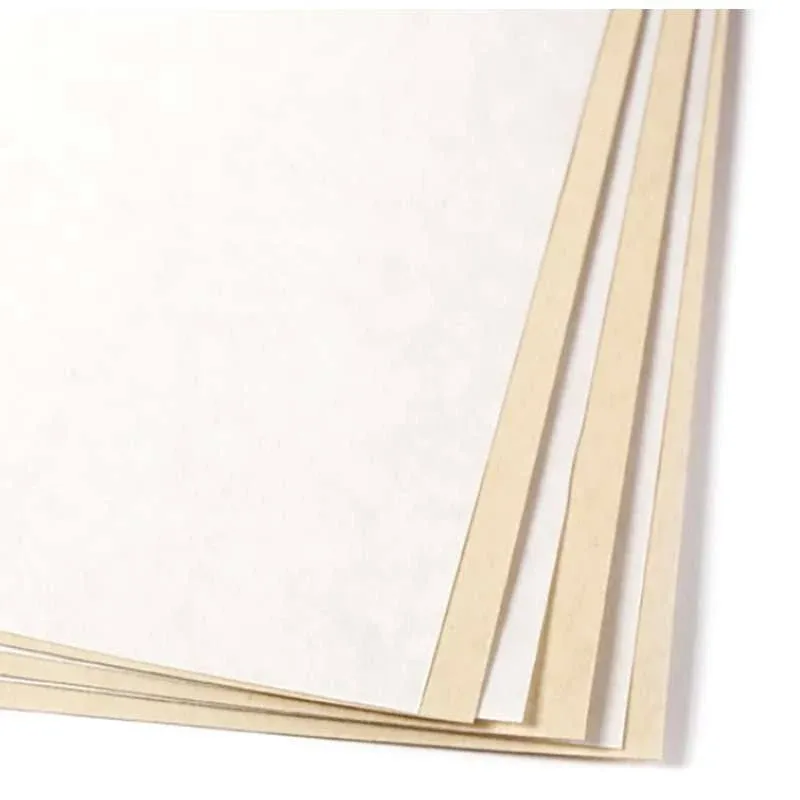 UART Sanded Pastel Paper Pad - 600 Grit, 9 inch x 12 inch, 10 Sheets, Beige