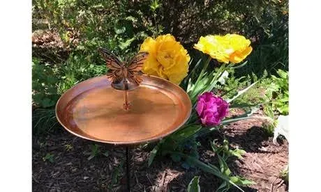 TOE Bird & Butterfly Oasis Pollinator Fountain and Bird Bath