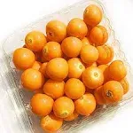 Kejora Fresh Golden Berries (3 Packs/15 oz)