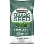 Pennington Kentucky 31 Tall Fescue Grass Seed, 3 lbs