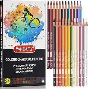 PANDAFLY Professional Colour Charcoal Pencils Drawing Set, Skin Tone Colored Pencils, Pastel Chalk Pencils for Sketching, Shading, Coloring, Layering & Blending, 24 Colors