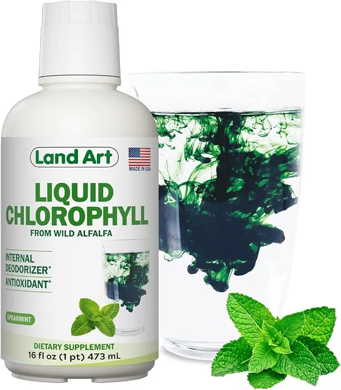 Land Art Liquid Chlorophyll Mint Flavored – Cold Extracted from Wild Non-GMO ...