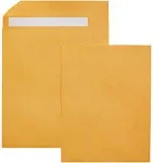 Basics 10 x 13-inch Clasp Kraft Envelopes, Gummed, 100-Pack 10" x 13"