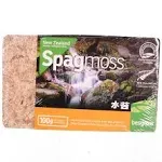 New Zealand Spagmoss 100gm