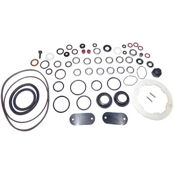 Diesel Care Roosa Master/Stanadyne Diesel Injection Pump seal kit 24371 DB/JDB/DC pumps