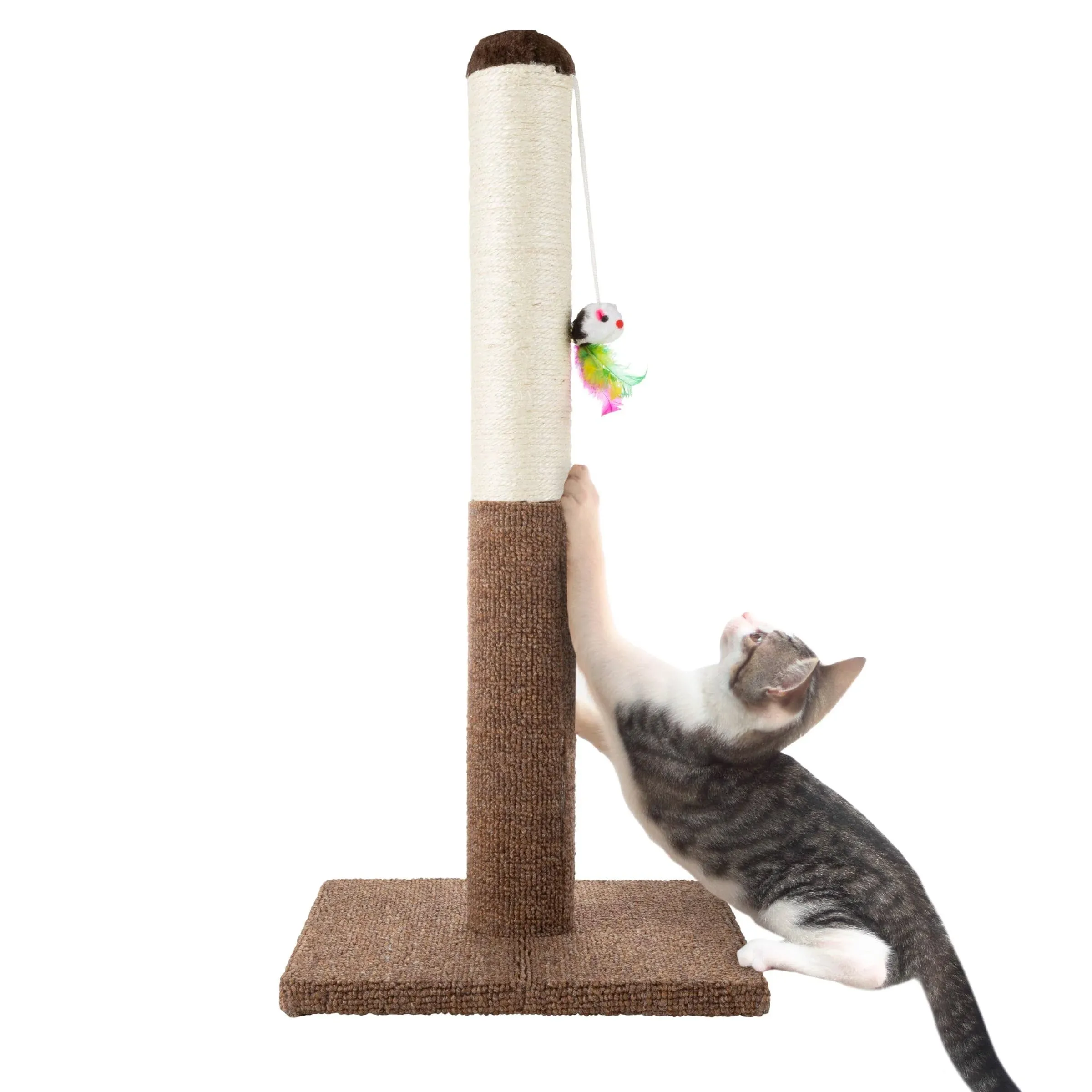 Cat Scratching Post - Tall Scratcher for Cats and Kittens with Sisal Rope and...