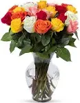 Benchmark Bouquets, 24 Stem Rainbow Roses, Glass Vase Included, Gift Fresh Flowers for Christmas, Holiday, Birthday, Anniversary, Sympathy, Congratulations, Thank You