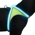 Noxgear Lighthound 360 Visibility Multicolor Reflective LED Dog Harness