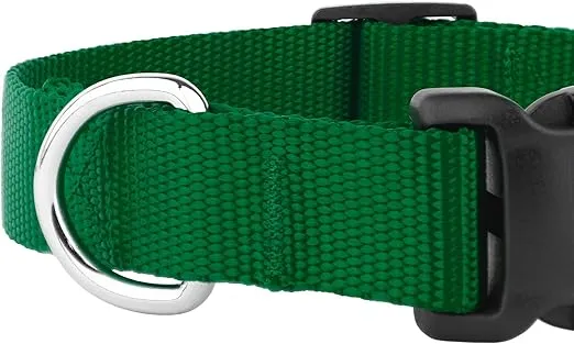 Country Brook Petz - American-Made Dog Collar for Large, Medium, and Small Dogs and Puppies - Deluxe Heavy Duty Nylon in 33 Dazzling Colors (Extra Large, 1 Inch Wide, Chritmas Green)
