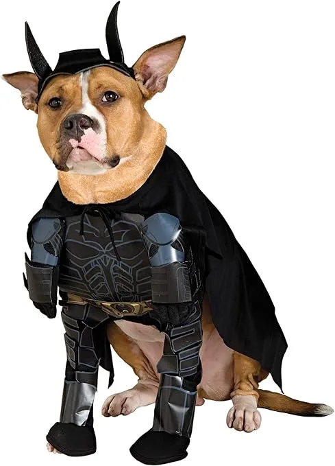 Rubie's DC Comics Batman The Dark Knight Rises Pet Costume, Medium