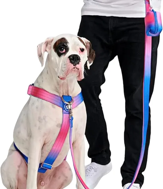 No-Pull Dog Harness - Designed for Safety and Control, Ideal for Large, Strong Breeds - Pitbulls, Boxers - Snow Cone - L