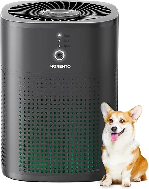MORENTO Air Purifiers for Bedroom, HEPA Filter for Smoke, Pet Dander with Fragrance Sponge, Small Air Purifier with Sleep Mode, HY1800, Black, 1 Pack