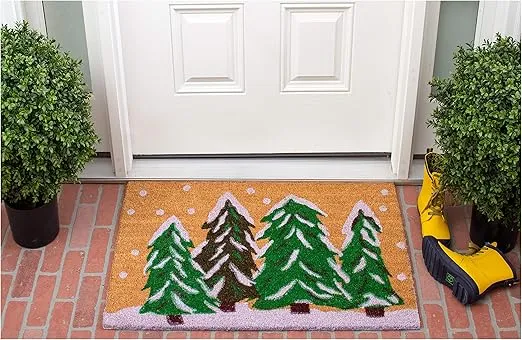 Calloway Mills 122251729 Winter Wonderland Doormat, 17" x 29", Multicolor
