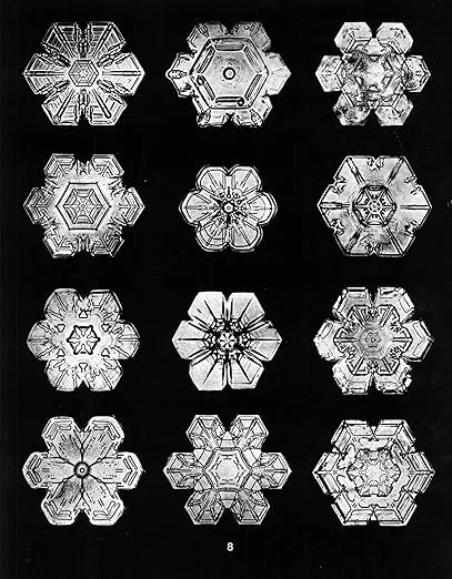 Snowflakes in Photographs (Dover Pictorial Archive)
