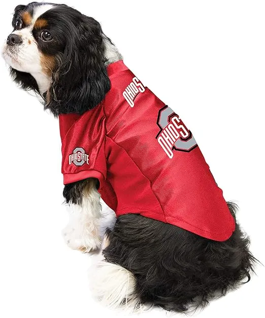 Littlearth NCAA Stretch Pet Jersey