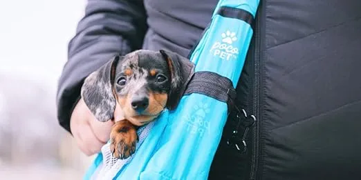 Small Dog Sling Travel Carrier | Fits in Your Pocket | Mesh Ventilation, Adjustable Strap, Holds Dogs Up to 10 Pounds | Bright Blue | Amazon